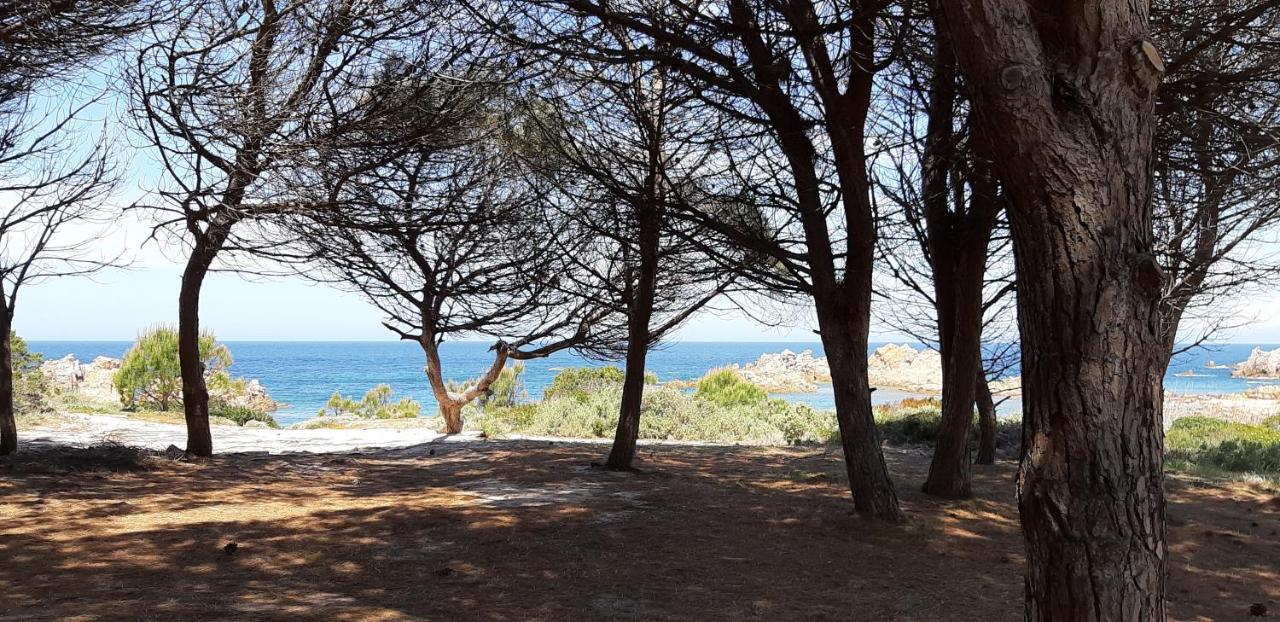 Mare Natura Confort... Il Mio Paradiso In Sardegna Isola Rossa Εξωτερικό φωτογραφία